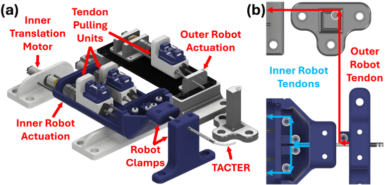 Brain Tool Lab - TACTER image 1